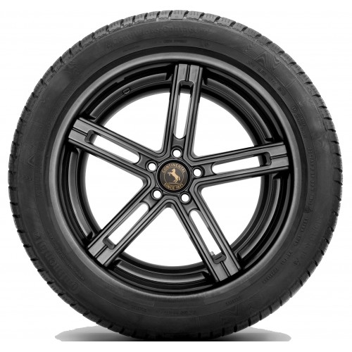 Continental ContiWinterContact TS830P 245/50 R18 104V