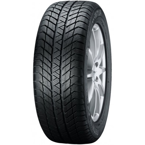 Platin RP 70 Winter 225/50 R17 98H XL
