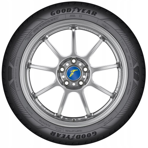 Goodyear Effigrip Performance 215/55 R18 95H