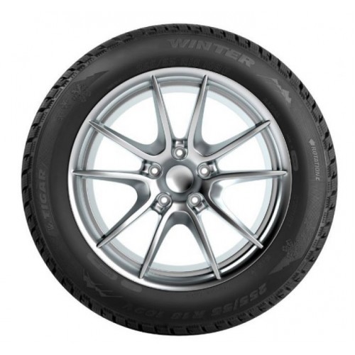Tigar Winter 195/55 R16 87H
